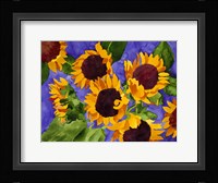 New Mexico Sunflowers Fine Art Print