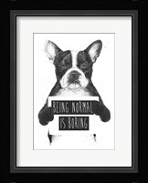 Being Normal Is Boring Fine Art Print
