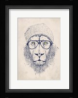 Cool Lion Fine Art Print