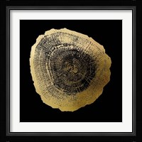 Gold Foil Tree Ring IV on Black Fine Art Print