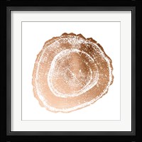 Rose Gold Foil Tree Ring III Fine Art Print
