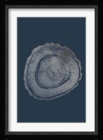 Silver Foil Tree Ring III on Cobalt Fine Art Print