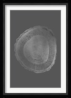 Silver Foil Tree Ring I on Dark Grey Fine Art Print