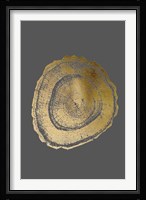 Gold Foil Tree Ring III on Dark Grey Fine Art Print