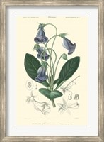 Floral Botanique I Fine Art Print