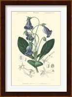 Floral Botanique I Fine Art Print