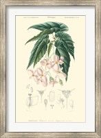 Floral Botanique III Fine Art Print