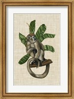 Canopy Monkey I Fine Art Print