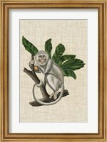 Canopy Monkey II Fine Art Print