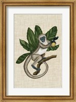 Canopy Monkey III Fine Art Print