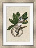 Canopy Monkey III Fine Art Print