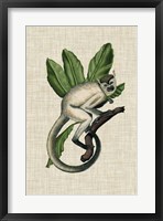 Canopy Monkey IV Fine Art Print