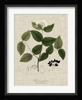 Linen & Leaves I Fine Art Print