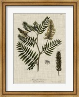Linen & Leaves III Fine Art Print