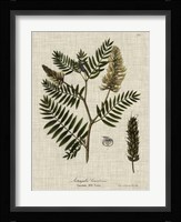 Linen & Leaves III Fine Art Print