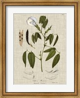 Linen & Leaves IV Fine Art Print