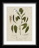 Linen & Leaves IV Fine Art Print