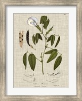 Linen & Leaves IV Fine Art Print