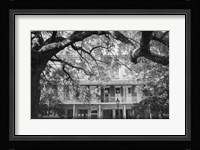 Jackson Square, New Orleans Fine Art Print