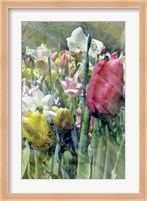 Spring at Giverny III Fine Art Print