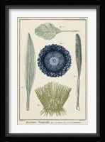 Ocean Oddity II Fine Art Print