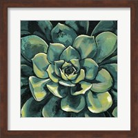 Succulent Bloom I Fine Art Print