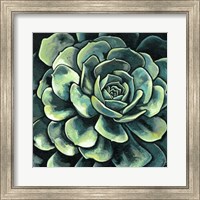 Succulent Bloom II Fine Art Print