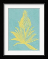 Pineapple Frais I Fine Art Print