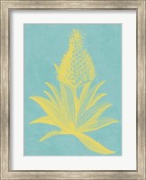 Pineapple Frais I Fine Art Print