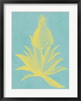 Pineapple Frais I Fine Art Print