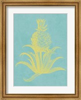 Pineapple Frais II Fine Art Print
