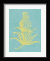 Pineapple Frais II Fine Art Print