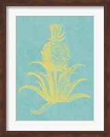 Pineapple Frais II Fine Art Print