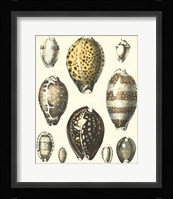 Of Sea and Shore I Fine Art Print