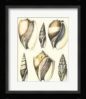 Of Sea and Shore V Fine Art Print