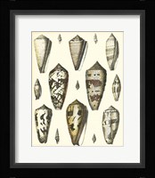 Of Sea and Shore VI Fine Art Print