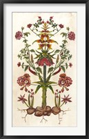 Botanical Hybrid I Fine Art Print