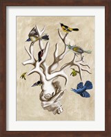 The Ornithologist's Dream II Fine Art Print