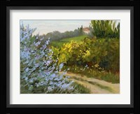 Rosemary by the Road Fine Art Print