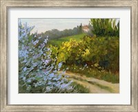 Rosemary by the Road Fine Art Print