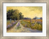 Fall's Golden Fields Fine Art Print