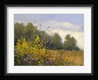 Big Tree Farm Fine Art Print