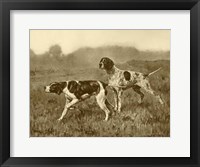 A Double Point Fine Art Print