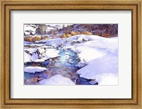 Deer Creek Bend - Colorado Fine Art Print