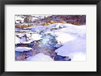Deer Creek Bend - Colorado Fine Art Print