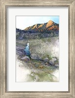 Flatirons Sunrise - Boulder, Co. Fine Art Print