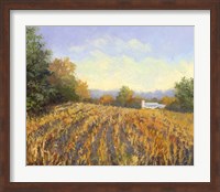 Corn Rows Fine Art Print