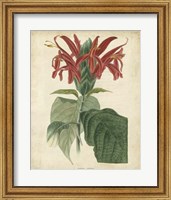 Tropical Floral V Fine Art Print