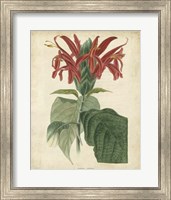 Tropical Floral V Fine Art Print