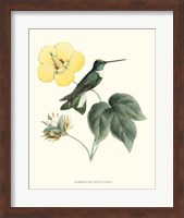 Hummingbird & Bloom I Fine Art Print
